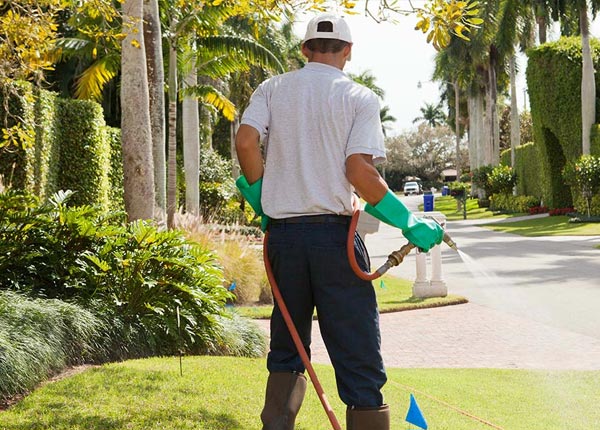 About Belleville AR Pest Control Pros
